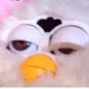 Meet your Posher, Arturo